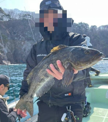 アイナメの釣果