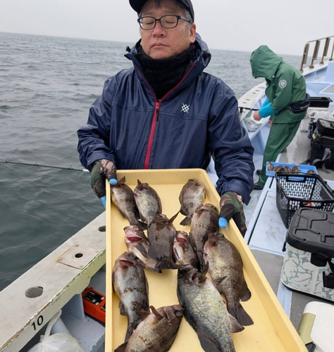 メバルの釣果