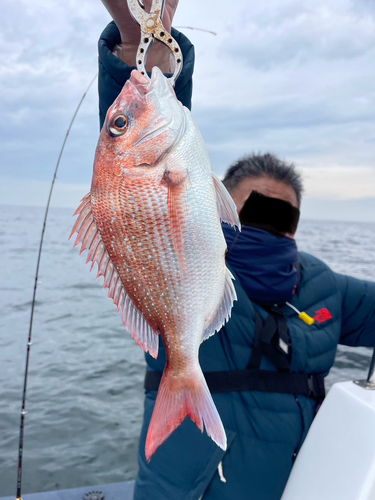 タイの釣果