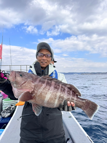 マハタの釣果