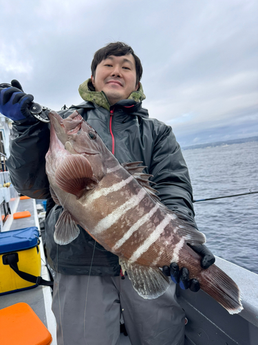 マハタの釣果