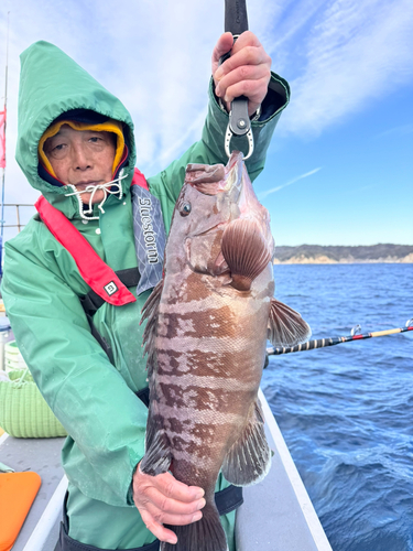 マハタの釣果