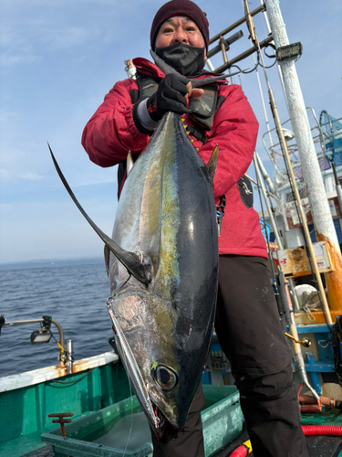 ビンチョウマグロの釣果