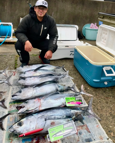 ビンチョウマグロの釣果