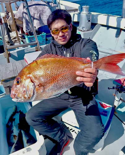 マダイの釣果