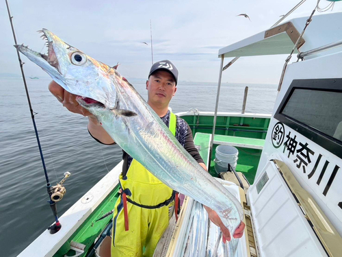 タチウオの釣果