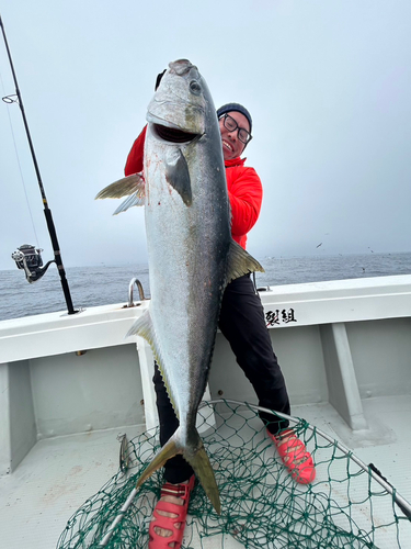 ヒラマサの釣果