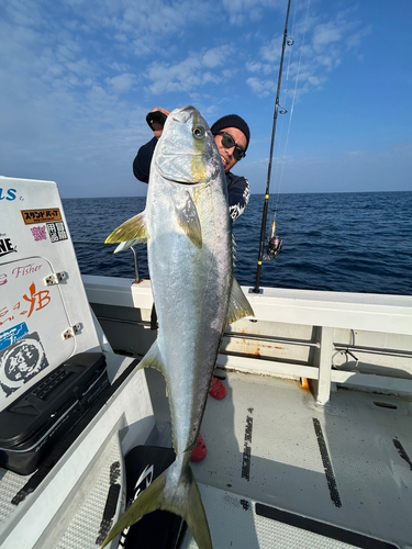 ヒラマサの釣果