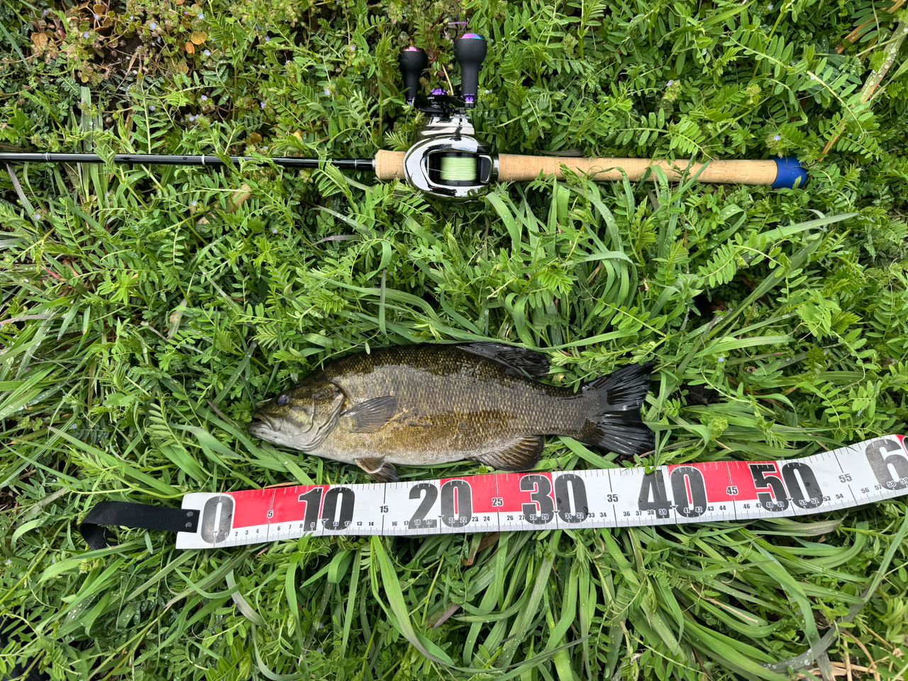 TENRYU レイズ RZ842B-MMHの最安値・インプレ・釣果 | 本音の口コミが