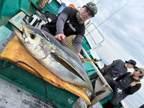 ビンチョウマグロの釣果