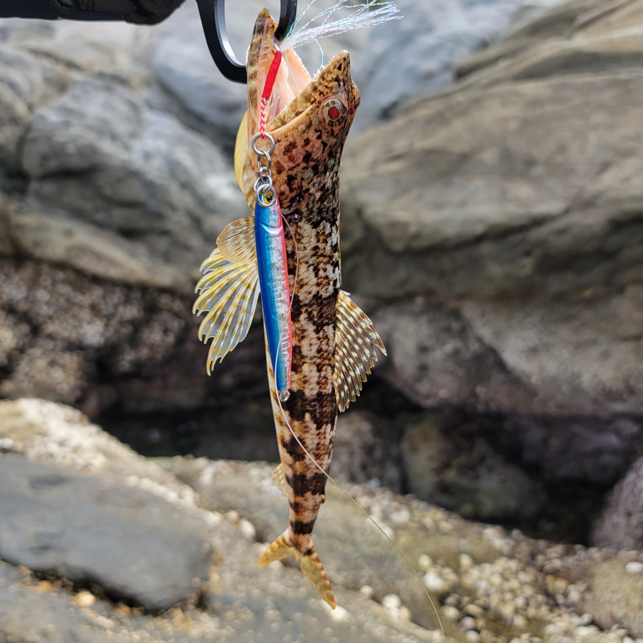DAIWA 23ドラッガー X 100MLの最安値・インプレ・釣果 | 本音の DAIWA 23ドラッガー X 100MLの最安値・インプレ・釣果 | 本音の