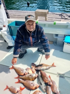 タイの釣果