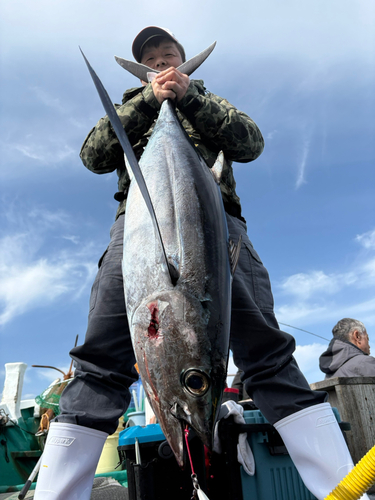 ビンチョウマグロの釣果