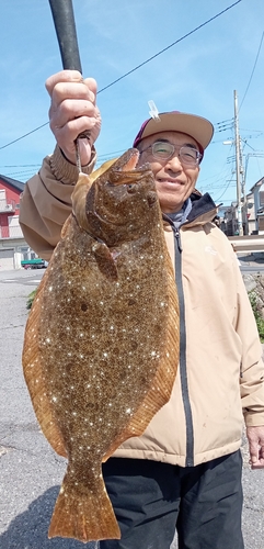 ヒラメの釣果