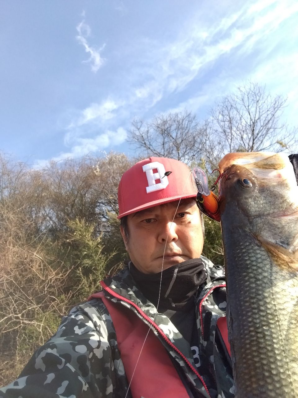 ブラックバス