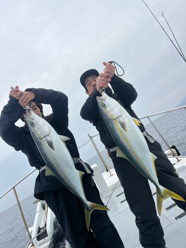 ハマチの釣果