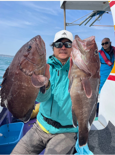 マハタの釣果