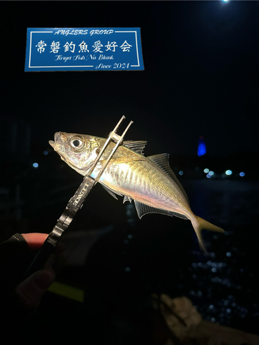 小名浜港市場前