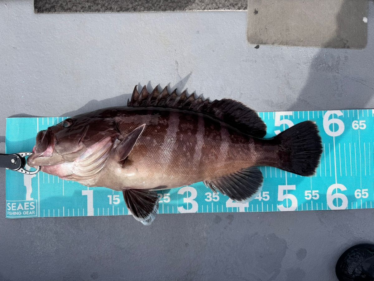 TATSUYA@SHINSHOUMARUさんの釣果 2枚目の画像