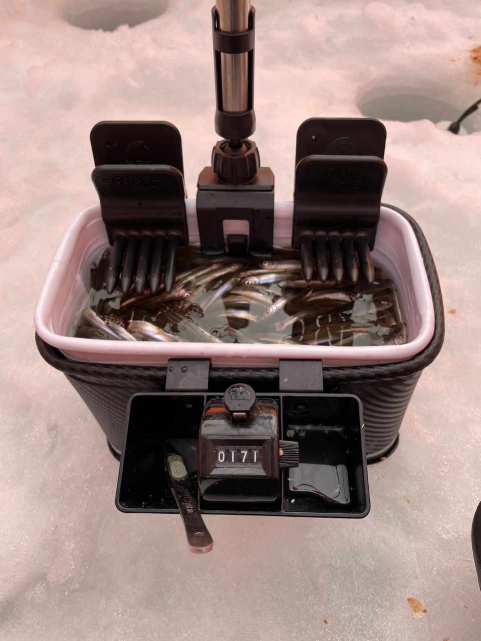 DAIWA 22クリスティア ワカサギ AIR マットピンクムーブの最安値