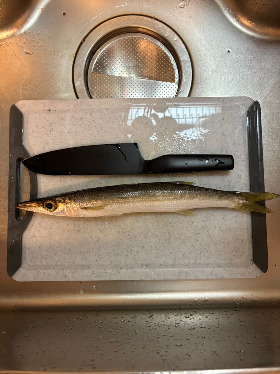 カマス