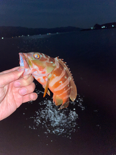 江浦湾