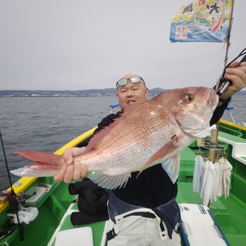 マダイの釣果