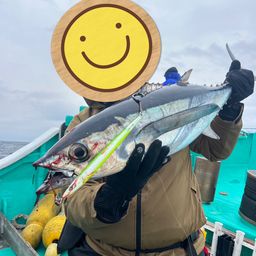 ビンチョウマグロ