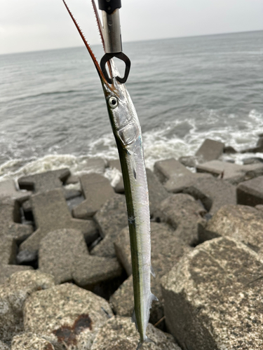 柳島海岸
