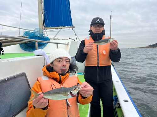 マアジの釣果