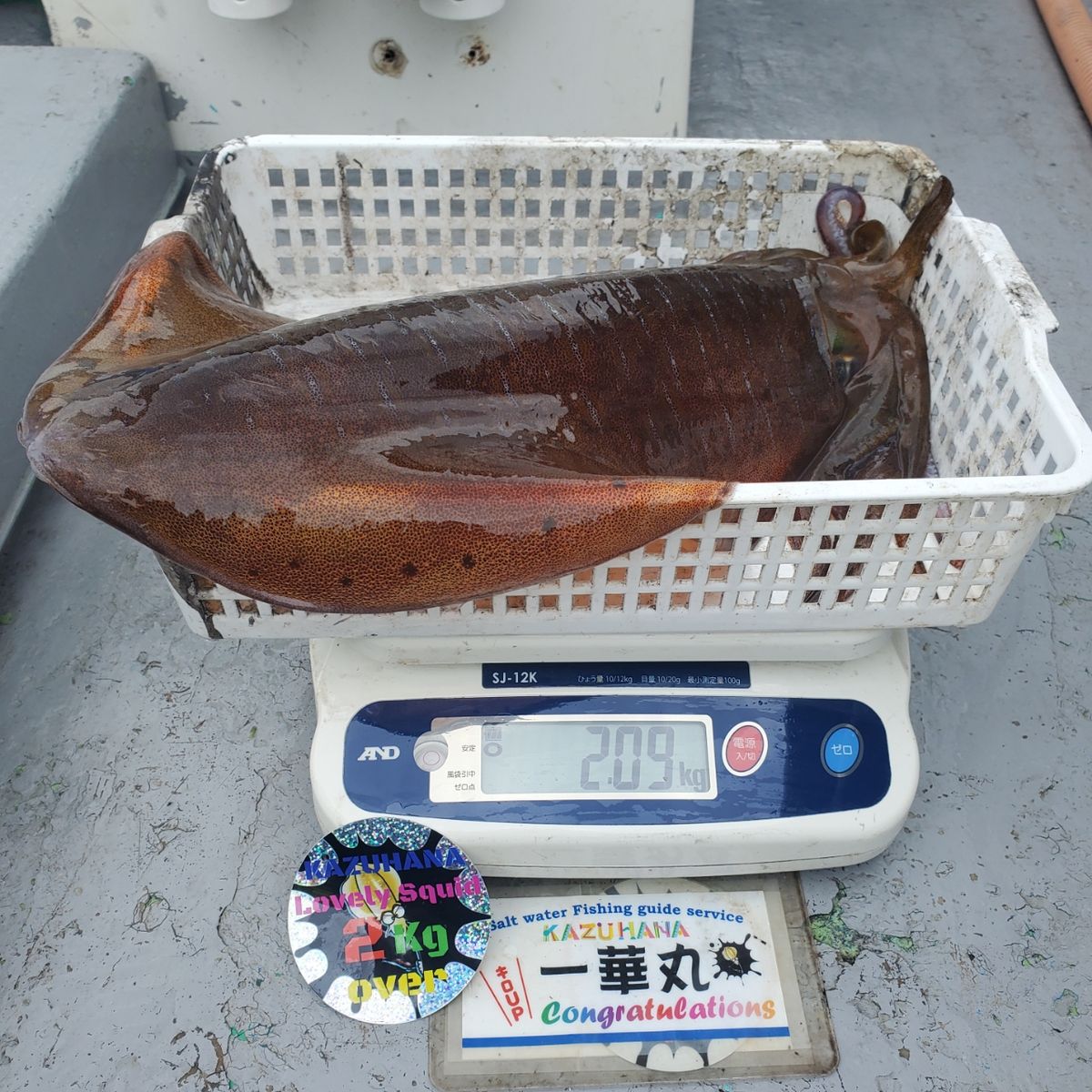 野村 一仁 _ 一華丸さんの釣果 1枚目の画像