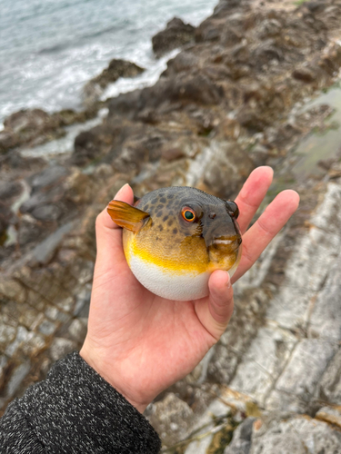 深山湾