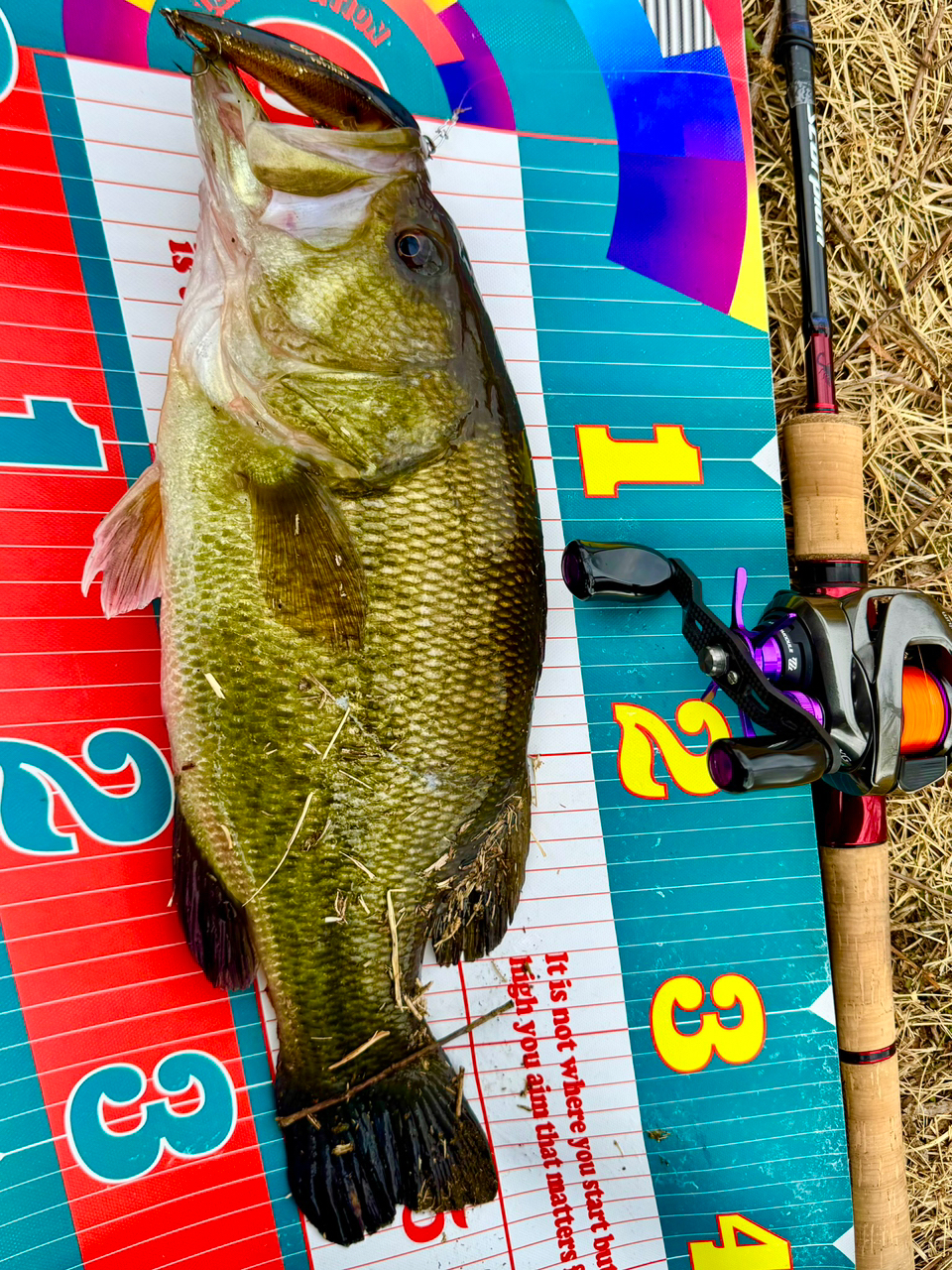 SHIMANO 19スコーピオン 1631FF-2の最安値・インプレ・釣果 SHIMANO 19スコーピオン 1631FF-2の最安値・インプレ・釣果