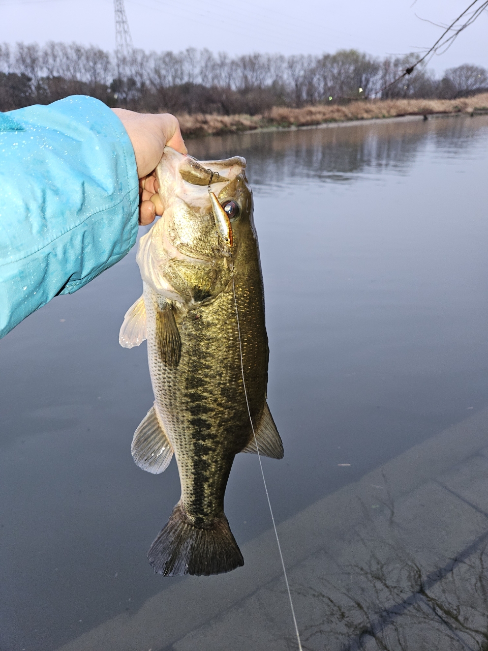 DAIWA 13ハートランド AGS 7102L+FS-SV AGS18の最安値・インプレ