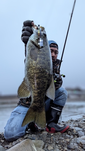 スモールマウスバスの釣果