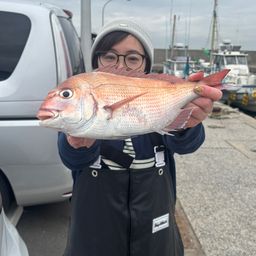 マダイ