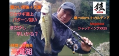 ブラックバスの釣果