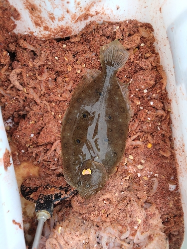 由良海つり公園