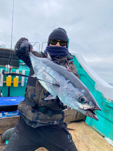 ビンチョウマグロの釣果