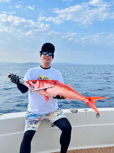 オオクチハマダイの釣果