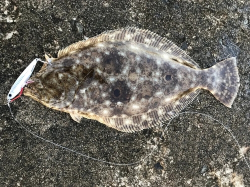 平砂浦海岸