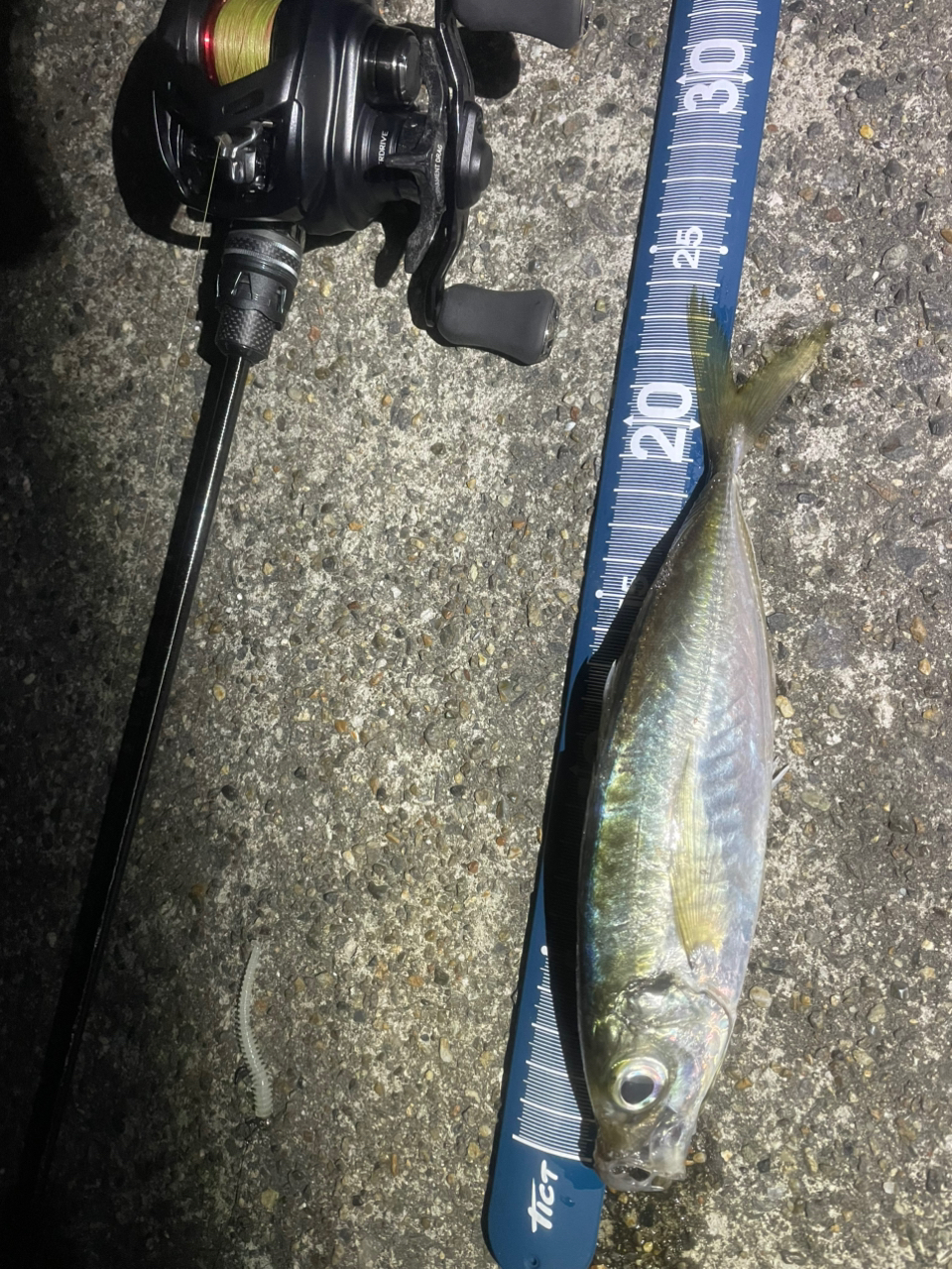 AbuGarcia ソルティーステージ プロトタイプ ベイトフィネス AbuGarcia ソルティーステージ プロトタイプ ベイトフィネス