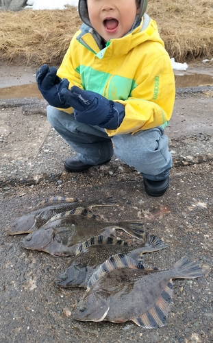 カワガレイの釣果