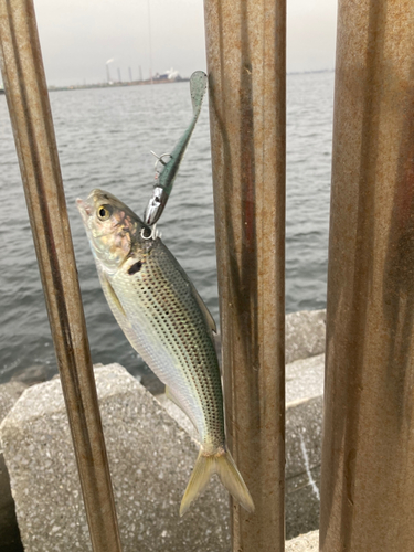 稲毛海浜公園