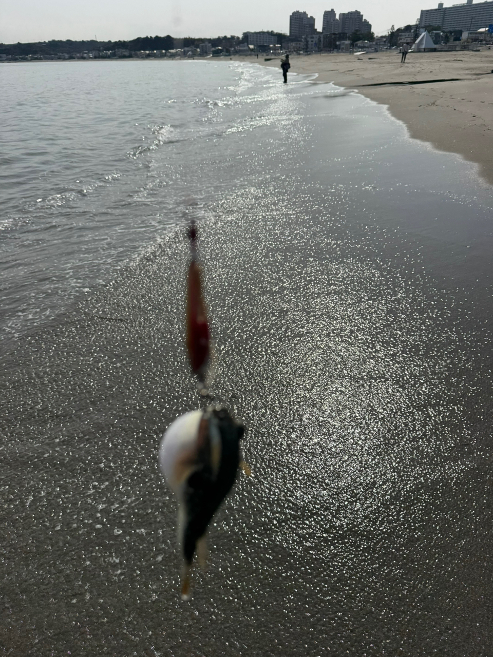 SHIMANO 19ソルティーアドバンス SHORE JIGGING S100Mの最安値