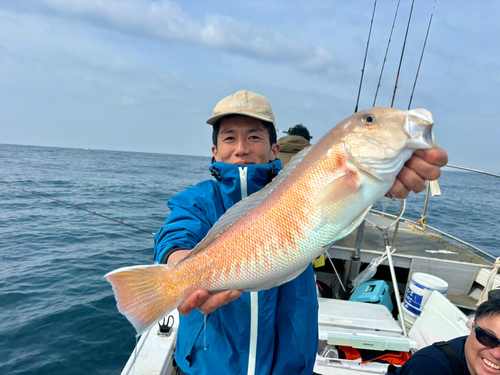 シロアマダイの釣果