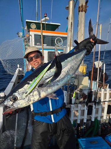 ビンチョウマグロの釣果