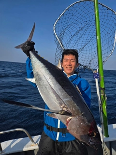 ビンチョウマグロの釣果