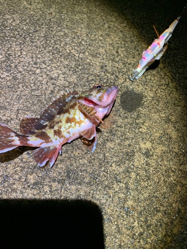越前海岸