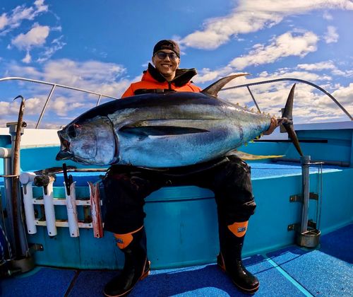 キハダマグロの釣果
